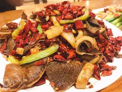 -福苗小骆驼烧烤(太奥广场店)