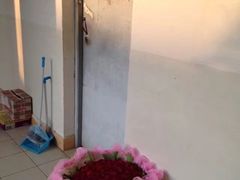 -欣奇西点蛋糕(海达店)