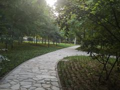 -金星公园