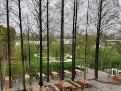 -前小桔亲子创意农场·草莓采摘·露营烧烤