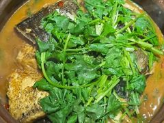 -九道菜有鸡鱼头(石鼓路店)