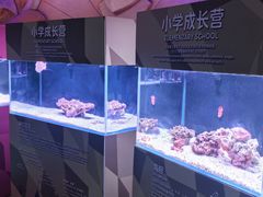 -三亚亚特兰蒂斯度假区