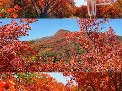 -周口店坡峰岭风景区