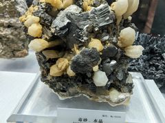 -湖南省地质博物馆