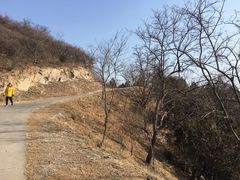 -鬼笑石后山停车场