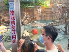 -泉州海丝野生动物世界