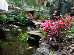 -广州白天鹅宾馆