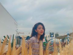 -Blue Concept Cafe&Farm·關於藍