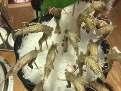 -尚海豆捞(乐虹坊店)