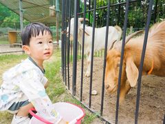 -前小桔亲子创意农场·草莓采摘·露营烧烤