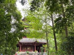 -符淼淼火锅(宽窄巷子店)