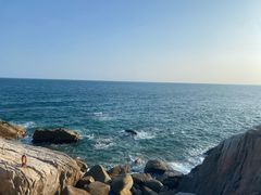 -广东惠东海龟国家级自然保护区