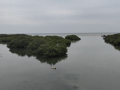 -北海金海湾红树林生态旅游区