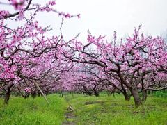 -白沙门生态公园