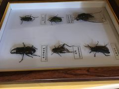 -遇见未来早教·托育中心(玛斯兰德旗舰店)
