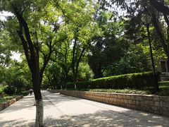-山东大学(趵突泉校区)