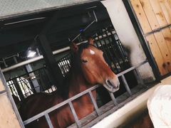 -梦娜斯庄园
