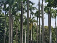 -广州雕塑公园