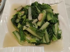 -新楚记