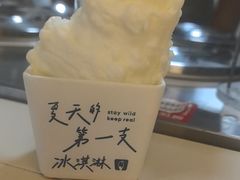 -野人先生现做冰淇淋(北京环宇荟店)
