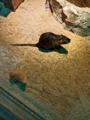 -酷嗒动物文化乐园(cutezoo西溪乐天城店)