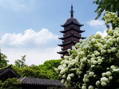 -常熟方塔园