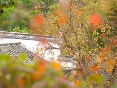 -塔川景区