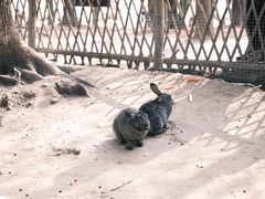 -宁波杭州湾国家湿地公园