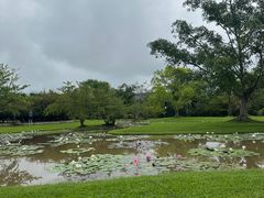 -中国科学院西双版纳热带植物园