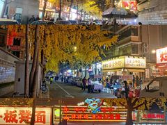 -奎星楼街