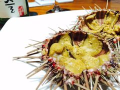 海胆-海味当家·蒸锅海鲜(中山广场创始店)