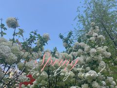 -大龙山(地铁站)