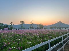 -杭州灵山景区