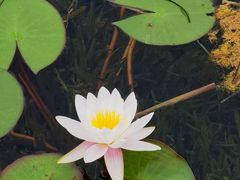 -白鹭湾湿地公园