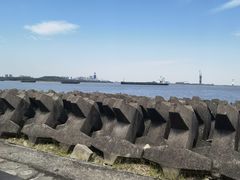 -上海滨江森林公园