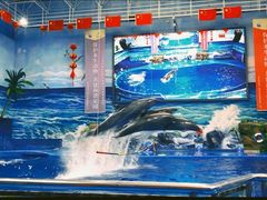 -多彩贵州城极地海洋世界