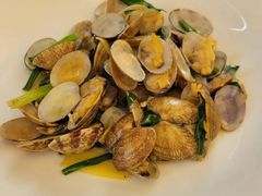 葱姜炒蛤蜊-莆鑫海鲜城(浏河店)
