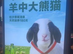 -丰茂烤串(公园店)