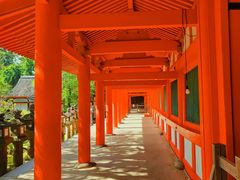 -奈良公园