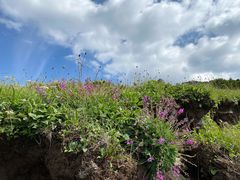 -北京灵山风景区