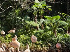 -海南热带野生动植物园