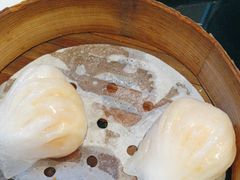 -高第街56号港式餐厅(山大路店)