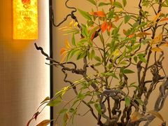 -炊江南·上海菜(国展华漕店)