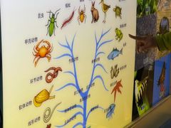 -上海昆虫博物馆