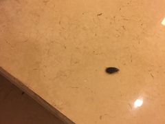 -深圳海景嘉途酒店(东翼楼)