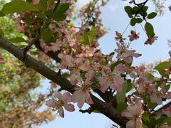 -贵阳市花溪国家城市湿地公园