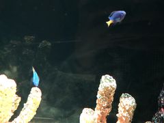 -暹罗海洋世界