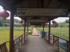 -红山村