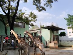 -昆明动物园