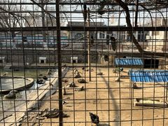 -保定市动物园